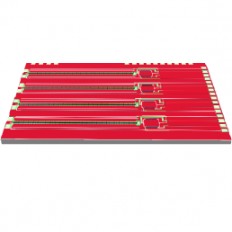 PIC 100G/λ, 200G/λ